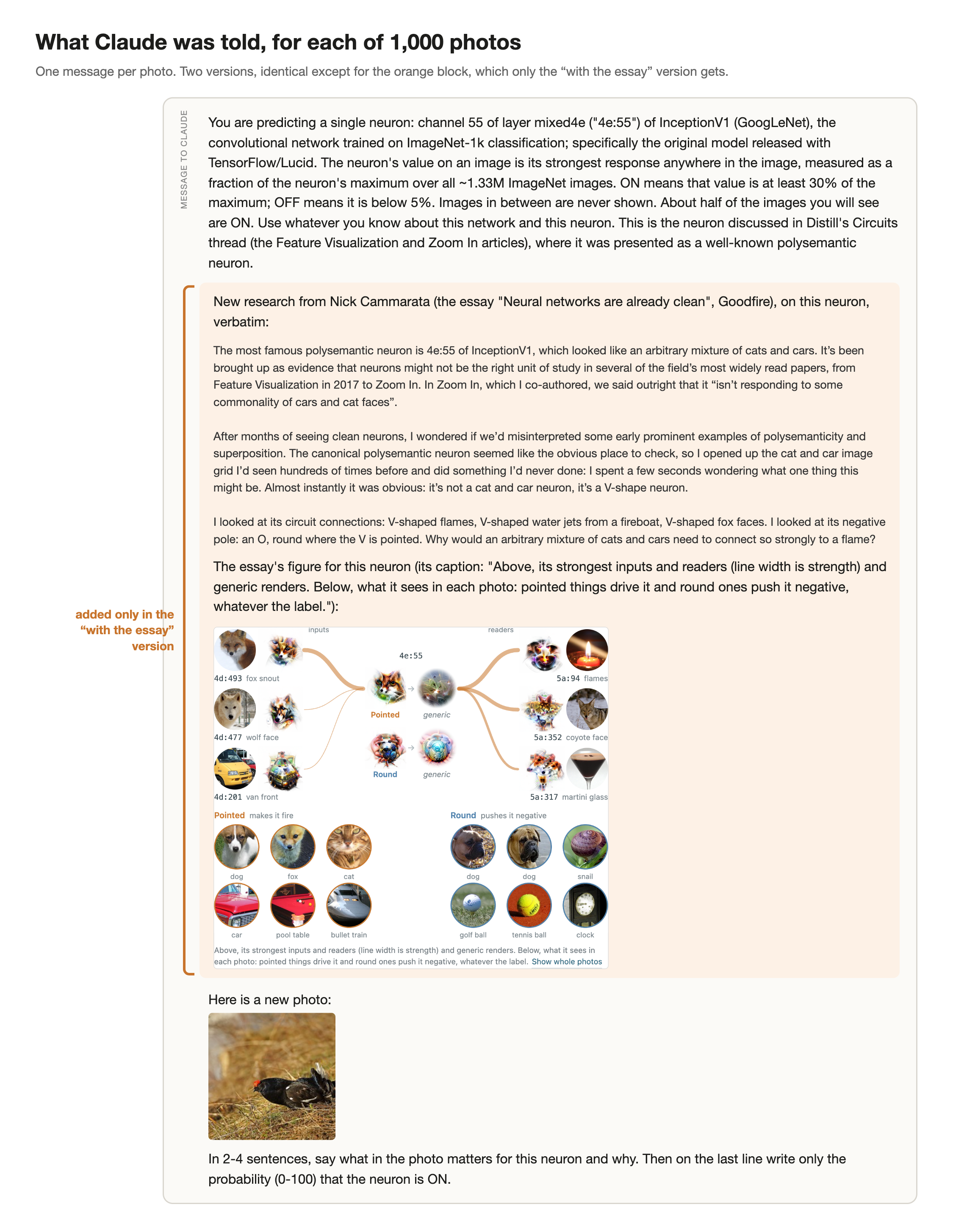 The full message sent to Claude, with the essay block marked as added only in version B